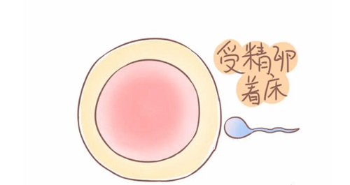 2021武漢試管嬰兒哪個醫(yī)院成功率最高？參考下