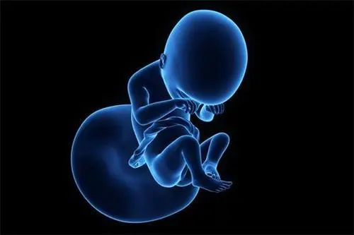試管對(duì)女人的傷害多大？IVF家庭不可錯(cuò)過(guò)