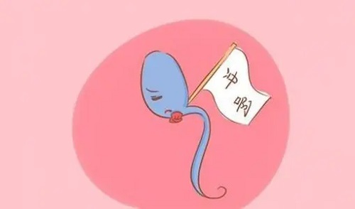 試管嬰兒的哪些準備可以提高成功率