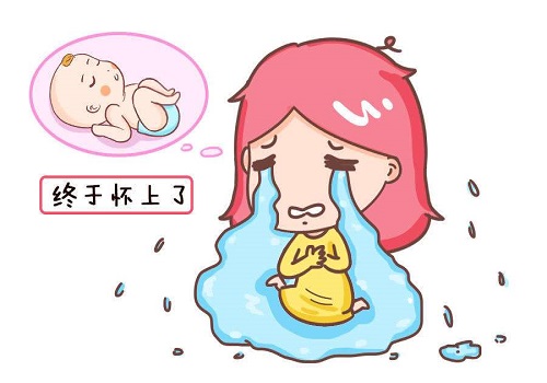 試管嬰兒成功率有多高？跟哪些因素有關(guān)？