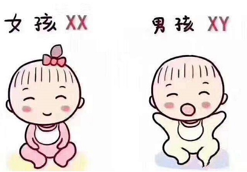 男方少精泰國三代試管價格多高