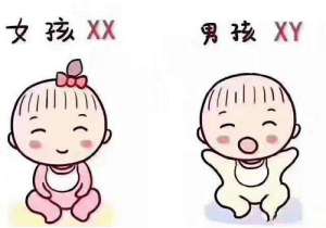 男方少精泰國三代試管價格多高