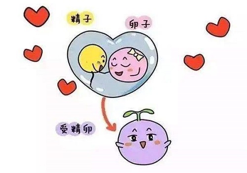 如何選擇試管嬰兒醫院