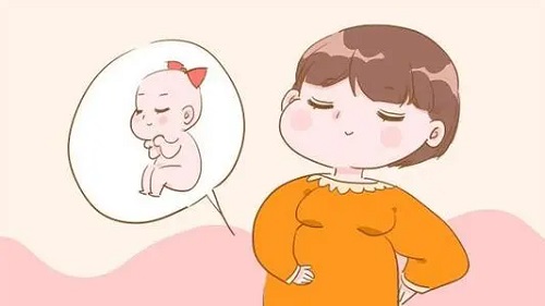 做泰國試管需要多少錢呢
